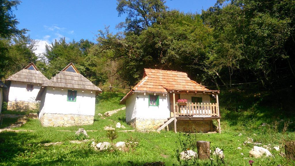 מלון Hum Camp Divlja Rijeka מראה חיצוני תמונה